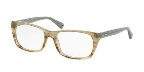 Picture of Coach Eyeglasses HC6048