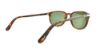 Picture of Persol Sunglasses PO3019S