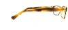 Picture of Vera Wang Eyeglasses V069
