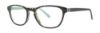 Picture of Lilly Pulitzer Eyeglasses PALMER