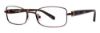 Picture of Vera Wang Eyeglasses V336