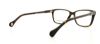 Picture of D&G Eyeglasses DD1238