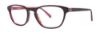 Picture of Lilly Pulitzer Eyeglasses PALMER