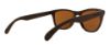 Picture of Oakley Sunglasses FROGSKINS