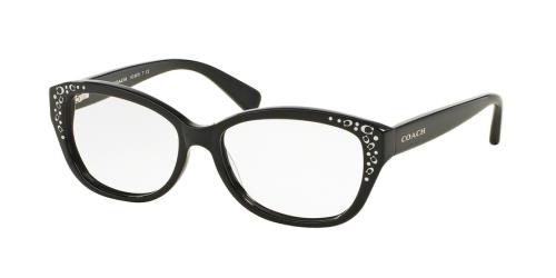 Picture of Coach Eyeglasses HC6076