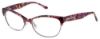 Picture of Bcbgmaxazria Eyeglasses NOREEN