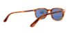 Picture of Persol Sunglasses PO3019S