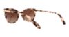 Picture of Ralph Sunglasses RA5203
