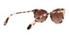 Picture of Ralph Sunglasses RA5203