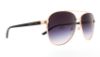 Picture of Michael Kors Sunglasses MK5007 Hvar