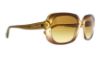 Picture of Coach Sunglasses HC8178 L1591