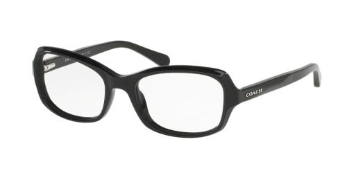 Picture of Coach Eyeglasses HC6097F