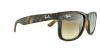 Picture of Ray Ban Sunglasses RB4165 Justin
