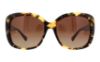 Picture of Coach Sunglasses HC8158 L139
