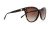 Picture of Michael Kors Sunglasses MK2045 Jan