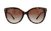 Picture of Michael Kors Sunglasses MK2045 Jan