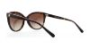 Picture of Michael Kors Sunglasses MK2045 Jan