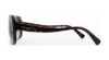 Picture of Coach Sunglasses HC8178 L1591