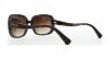 Picture of Coach Sunglasses HC8178 L1591