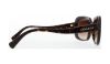 Picture of Coach Sunglasses HC8178 L1591