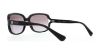 Picture of Coach Sunglasses HC8169 L149
