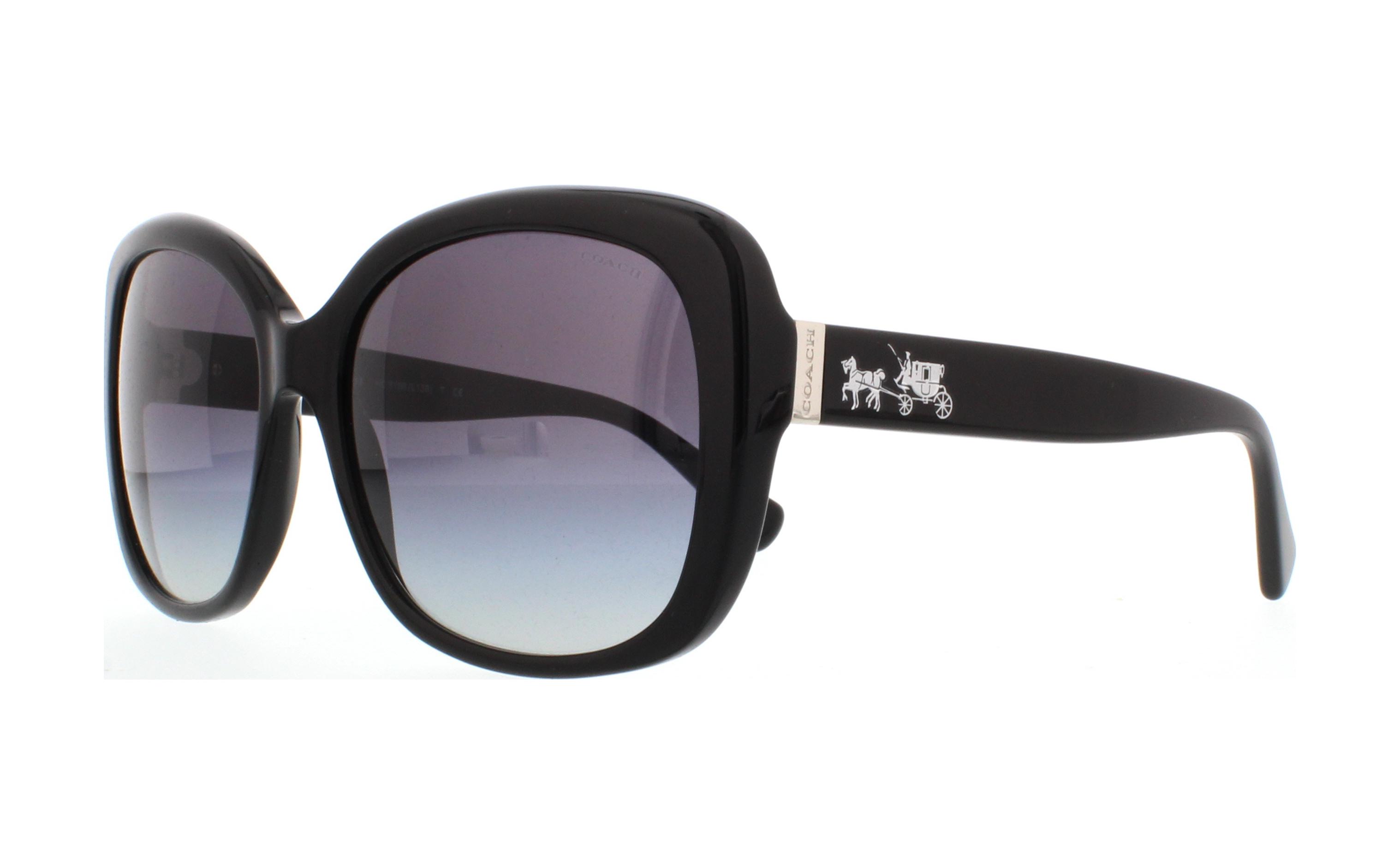 Picture of Coach Sunglasses HC8158 L139