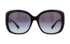 Picture of Coach Sunglasses HC8158 L139