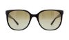 Picture of Tory Burch Sunglasses TY7106