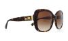 Picture of Coach Sunglasses HC8158 L139