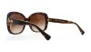 Picture of Coach Sunglasses HC8158 L139