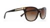 Picture of Coach Sunglasses HC8132 L109