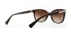 Picture of Coach Sunglasses HC8132 L109