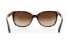 Picture of Coach Sunglasses HC8132 L109