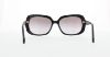 Picture of Coach Sunglasses HC8178 L1591