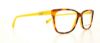 Picture of D&G Eyeglasses DD1238