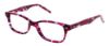 Picture of Ocean Pacific Eyeglasses 817