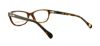 Picture of D&G Eyeglasses DD1205