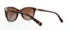 Picture of Coach Sunglasses HC8187B L1597
