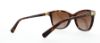 Picture of Coach Sunglasses HC8187B L1597