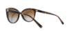 Picture of Michael Kors Sunglasses MK2045 Jan
