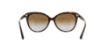 Picture of Michael Kors Sunglasses MK2045 Jan