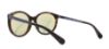 Picture of Michael Kors Sunglasses MK2034F Island Tropics Seaside