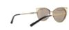 Picture of Michael Kors Sunglasses MK1020 Ina