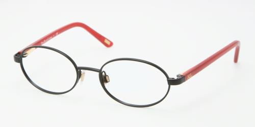Picture of Polo Eyeglasses PP8029