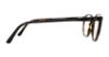 Picture of Polo Eyeglasses PH2083