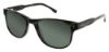 Picture of Izod Sunglasses 772