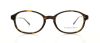 Picture of Polo Eyeglasses PH2084