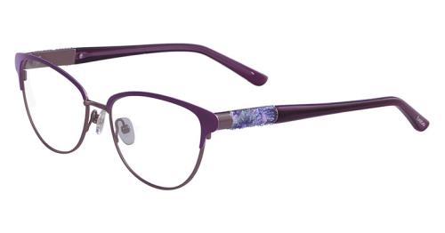 Picture of Bebe Eyeglasses BB5147