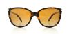 Picture of Ralph Sunglasses RA5160