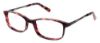 Picture of Ellen Tracy Eyeglasses BRAY